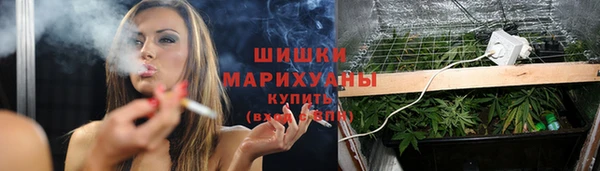 прущие крисы Армянск