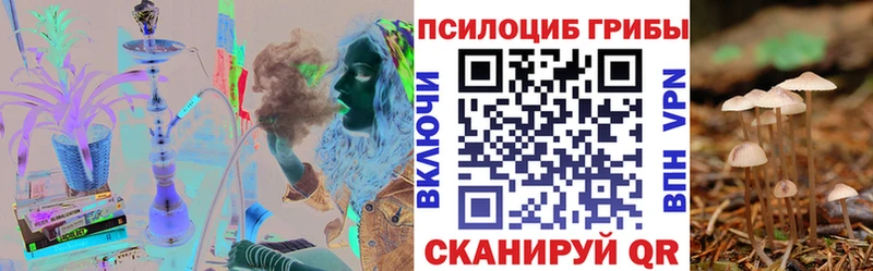 Псилоцибиновые грибы ЛСД  Гвардейск 
